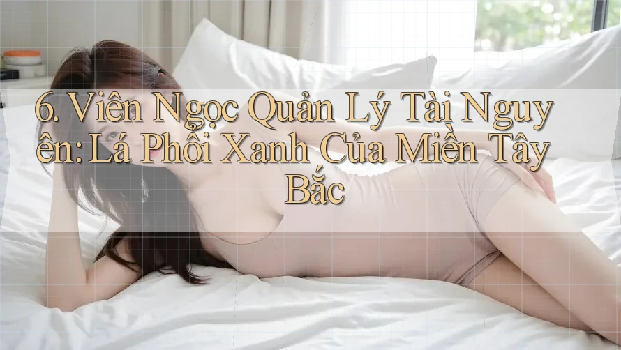 6. Viên Ngọc Quản Lý Tài Nguyên: Lá Phổi Xanh Của Miền Tây Bắc 6. Viên Ngọc Quản Lý Tài Nguyên: Lá Phổi Xanh Của Miền Tây Bắc