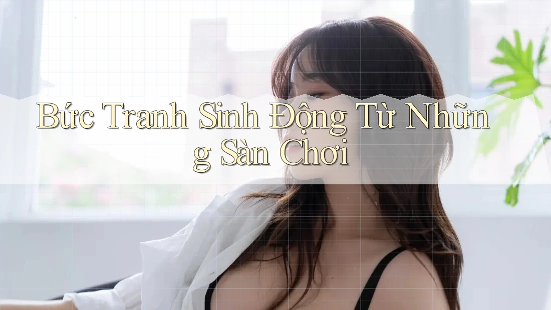 Bức Tranh Sinh Động Từ Những Sàn Chơi Bức Tranh Sinh Động Từ Những Sàn Chơi