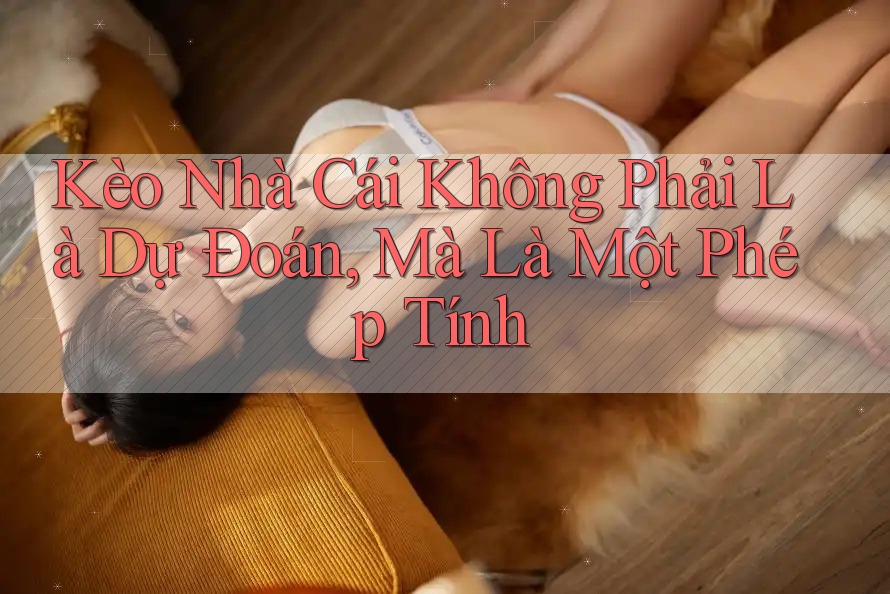 Kèo Nhà Cái Không Phải Là Dự Đoán, Mà Là Một Phép Tính