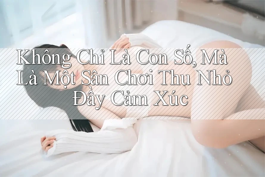 Không Chỉ Là Con Số, Mà Là Một Sân Chơi Thu Nhỏ Đầy Cảm Xúc