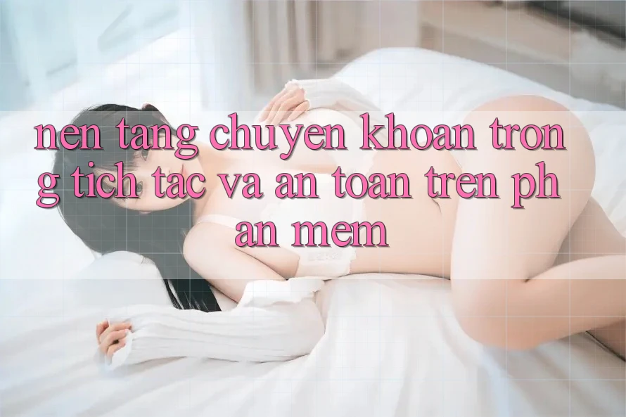 Nền tảng Chuyển khoản Trong tích tắc Và An Toàn Trên Phần mềm