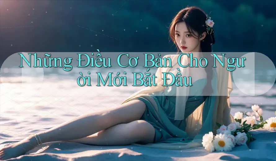 Những Điều Cơ Bản Cho Người Mới Bắt Đầu