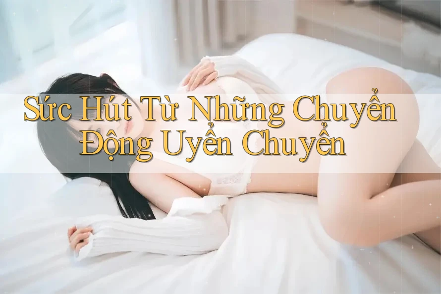 Sức Hút Từ Những Chuyển Động Uyển Chuyển Sức Hút Từ Những Chuyển Động Uyển Chuyển